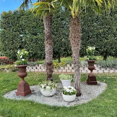 Detached With Pool In Veneto